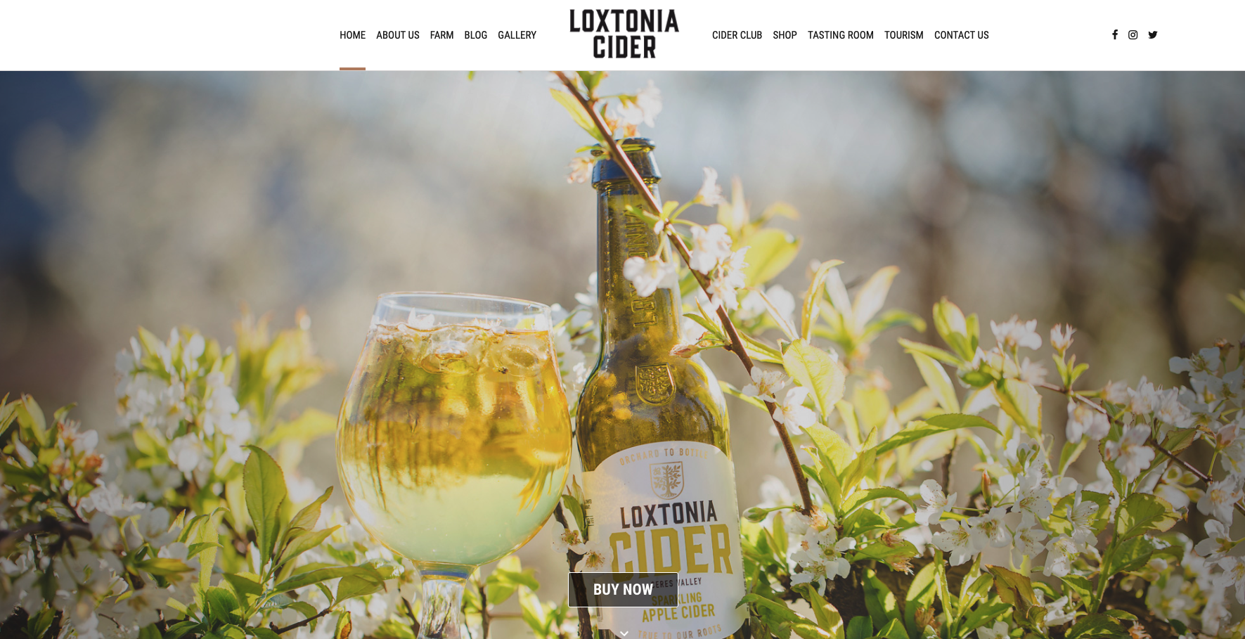 Loxtonia Cider Website Screenshot